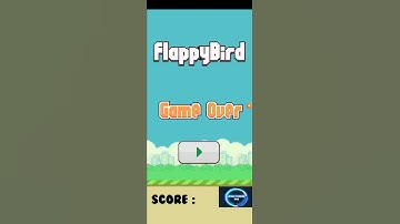 Flappy bird bug#shorts