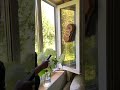 Справляется со своей задачей на ура 😍