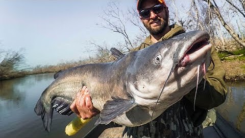 These BIG CATFISH Went Crazy for Our Jug Lines | Catfish Almandine Recipe CATCH CLEAN COOK