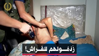 🔴 "زدمولهم للفراش" 😱 #الدرك يشل نشاط شبكة اجـ ـرامية خطيــرة باقليم #أولاد_فايت بالعاصمة..‼️