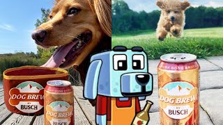 Dog Brew - Собака Варит! (9:16)