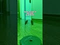 Little Do They Know #renting #dancing  #funny #jokes #roach #cockroach