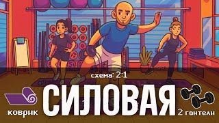 картинка: СИЛОВАЯ. 2:1. НУЖНО ВСЕГО ДВЕ ГАНТЕЛИ