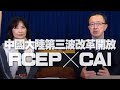 '21.01.05【財經起床號】蘇宏達教授談「中國大陸第三波改革開放 RCEP ╳ CAI」