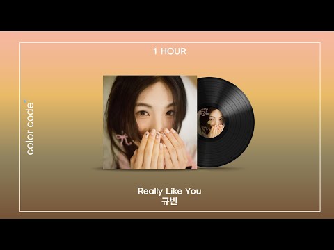 규빈 - Really Like You [1시간 / 반복재생]