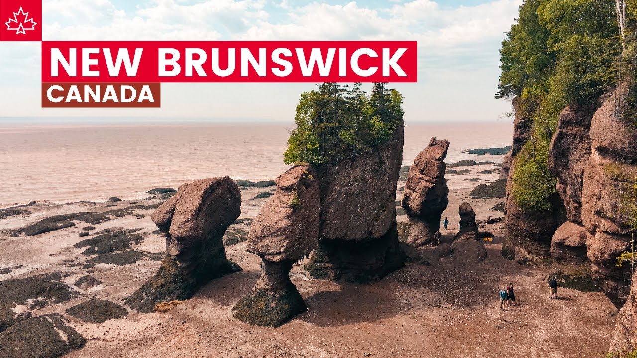 The Best Things To Do in New Brunswick