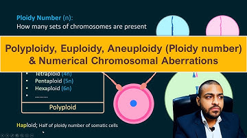 Polyploidy, Euploidy, Aneuploidy (Ploidy number) & Numerical Chromosomal Aberrations