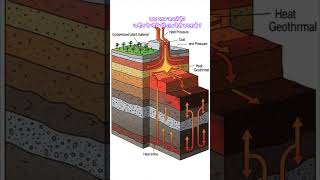 coal kaise banta hai 🪨||coal formation process #geographyoneshot  #trendingshorts #upscgeography