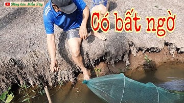 Thăm dớn có cái bất ngờ | fish trap | Bông lúa Miền Tây