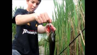 Booyah Pond Magic Spinnerbait review with clips 