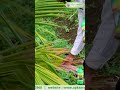 Coconut Online Farmer Mr. Raj ahmed giving feedback about our Products