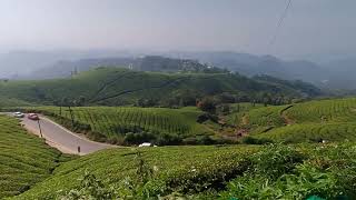 Kerala Munnar Beauty