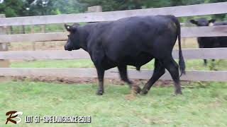 Lot 51 - Sipe Lawerence 25018