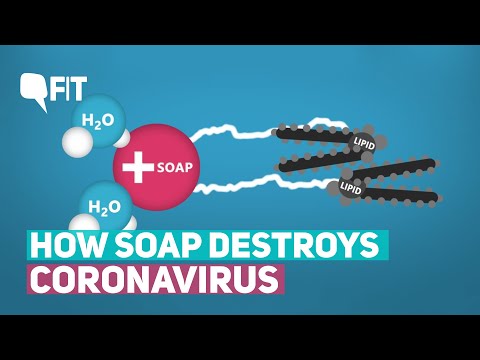 how-soap-destroys-coronavirus-|-the-quint