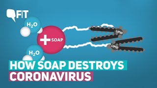 How Soap Destroys Coronavirus | The Quint