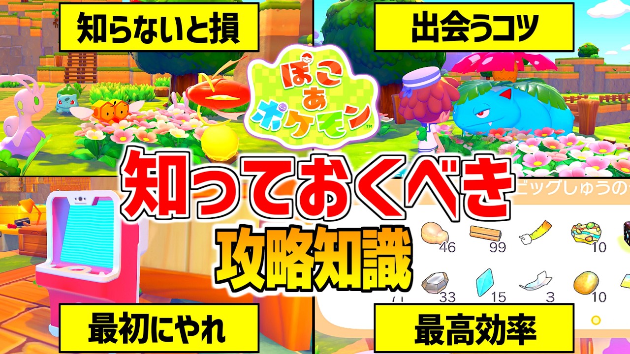 【ぽこポケ】知らないと損する序盤攻略のコツ10選【ぽこあポケモン] 素材集め/すみごこち/チャレンジ/環境レベル/pokopia