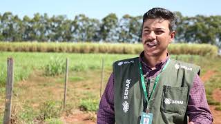 FIP Paisagens Rurais leva a ATeG para pecuaristas, em MS, com apoio técnico, gerencial e sustentável