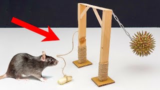 Construyo una PODEROSA Trampa de Ratas MEDIEVAL 😲🐀