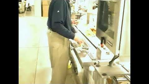 Autobag FAS SPrint Revolution SidePouch Bagging System Bagging Bakery Goods | ProPac.com