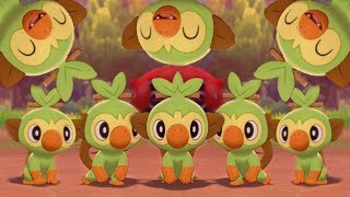 Grookey Gang Playing In Pokemon Camp (1 Hour)