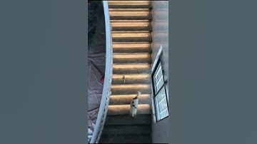 DIY Motion Sensing LED Tread Lights Kit - superlightingled