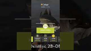 Русская Рыбалка 4! Норвежское Море, ТРОФЕЙНАЯ САЙДА!! Russian Fishing 4 #fishing #rf4 #рыбалка