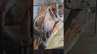 Natural History Museum of Los Angeles County #museum #art