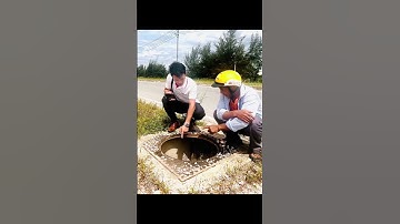 Hàng loạt nắp cống trên đường 210 tỷ đồng mới đưa vào sử dụng biến mất  #keolive #tintuc #tinnong24h