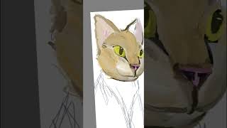digital drawing of an orange tabby cat #art #drawing