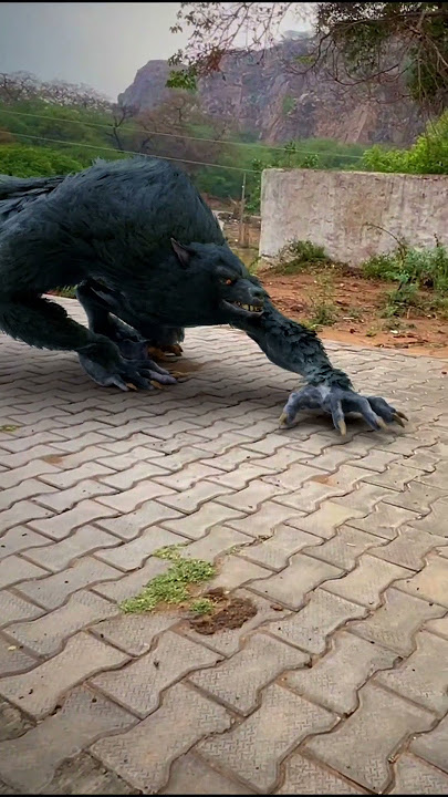 WereWolf Seen In DayLight 🤨 Attack By Werewolf P6 #shorts #wolf #werewolf #werewolfx #werewolfs