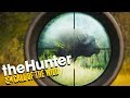 Hunting GIANT BUFFALO on the African Savanah - The Hunter Call of the Wild Gameplay