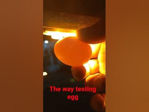 The way testing eggs - YouTube