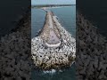 Kerala 🌴#drone #droneshots