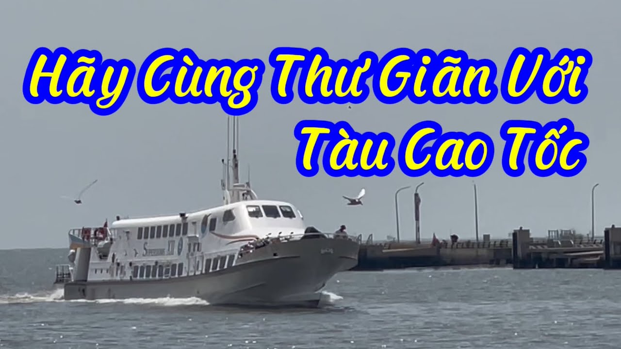 Hãy Cùng Thư Giãn Với Tàu Cao Tốc(phần 6)@kimtrancpl❤️🫶🏻🌺🌸💙🌹🚢🚞🛳️⛴️