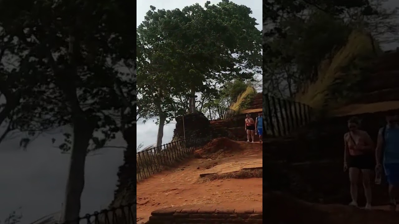 sigiriya view😊සීගිරිය