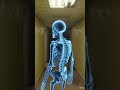what if you got teleported in the backrooms part 1 #whatif #teleport #backrooms