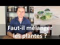 Faut-il mélanger les plantes ou les prendre seules ?