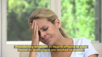 Updated EMMA video 102919 720p