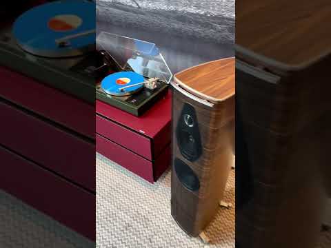 Sonus faber Olympica Nova II - McIntosh 252
