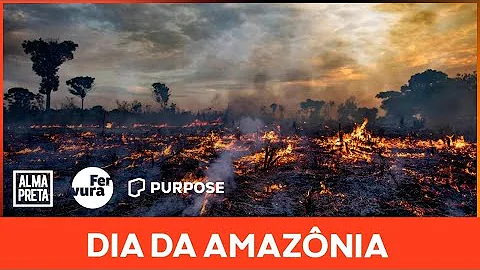 Por que a política é importante e está presente em nossas vidas?
