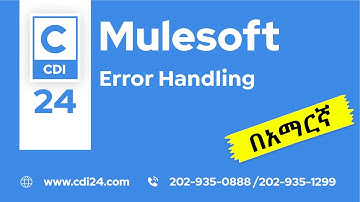 MuleSoft in Amharic-Error Handling