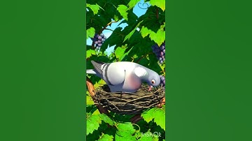 pigeon makes a nest on the grape tree and the parrot also makes a nest #ai #pigeon #parrot