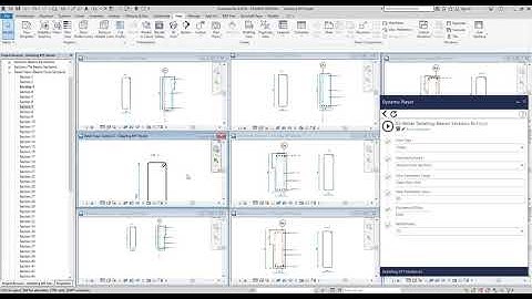 Rebar Shape Detailing in Multiple Views - Revit & Dynamo
