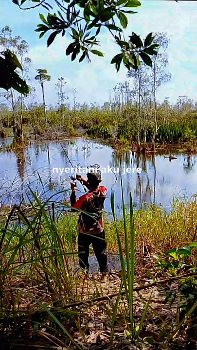 Download lagu info dari teman sepot di sini sangat brutal‼️ #viralvideo #vypシ #shorttiktok #shorts