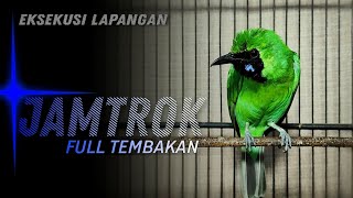 🔴 JAMTROK FULL TEMBAKAN || CUCAK IJO GACOR MERANGSANG EMOSI DAN BONGKAR MATERI