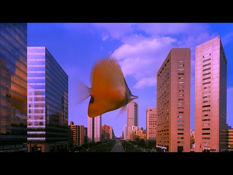 映画『熱帯魚』予告編 - YouTube