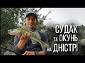 Рибалка на судака і окуня на Дністрі