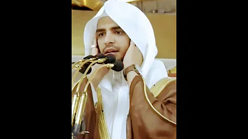 عمر سنبل 
