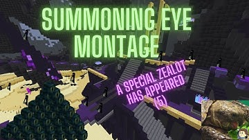 Special Zealot Montage (Insane!)