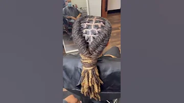 INVERTED FISHTAIL #locs #fishtail #explore #viral